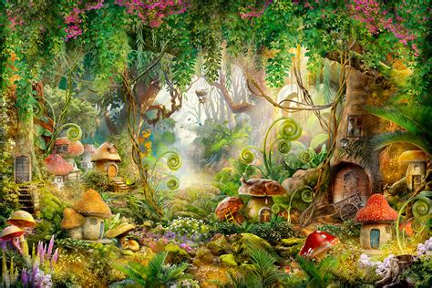 Enchanted magical woods